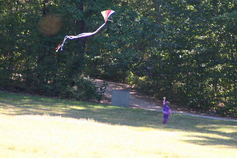 Picture 3780.jpg